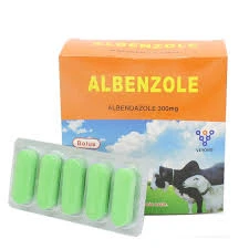 injectable ivermectin shelf life