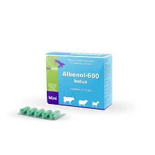 ivermectin injectable given orally