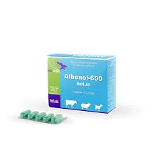 injection ivermectin for dogs