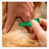 how much ivermectin injection for dogs